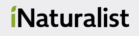 iNaturalist logo